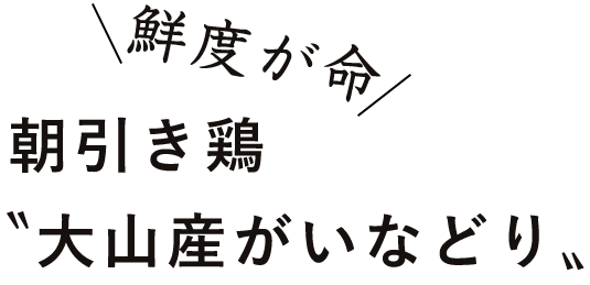 鮮度が命朝引き鶏〝大山産がいなどり〟